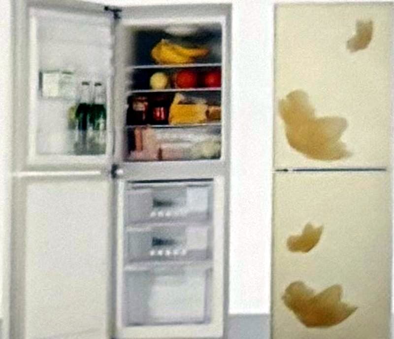 Home Appliances